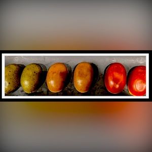 Clear Glycerin Cleansing Soap Bar Assortment of 10